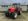 MASSEY FERGUSON 5455 Dyna-4